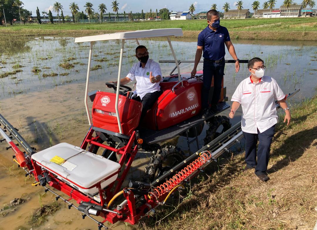 有益于糖尿病患者 MARDI新香米料明年推出